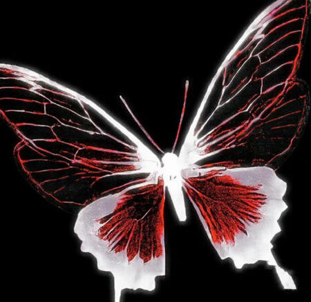 before you follow / interact